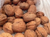 walnuts